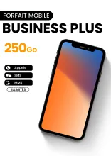 Forfait mobile Business plus 250Go